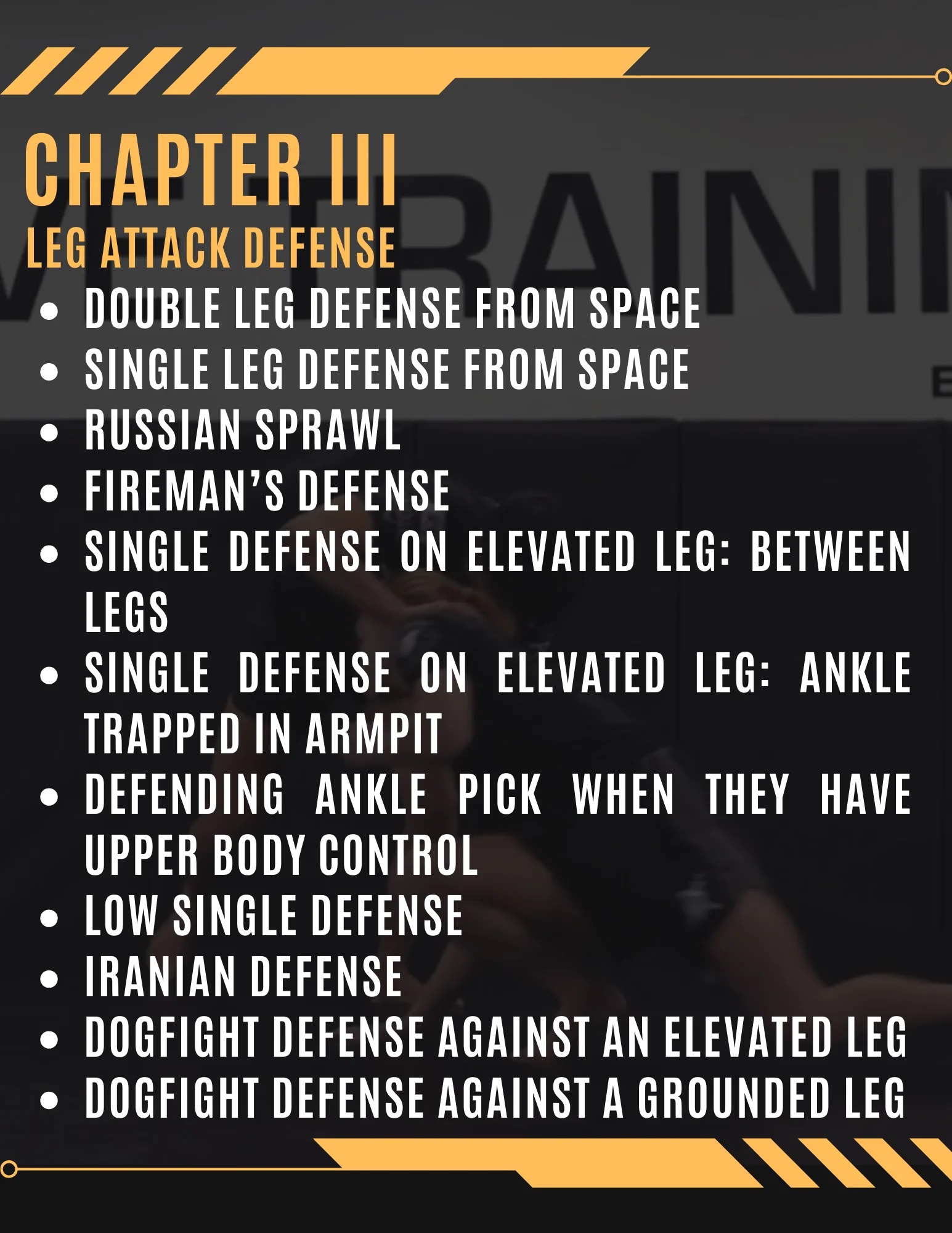 Wrestling Takedown Defense For Grappling by Alex Enriquez - Image 3